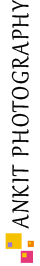 logo-mini